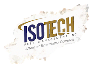 Isotech Pest Management - Termite Exterminators - Commercial Pest Control in Los Angeles CA