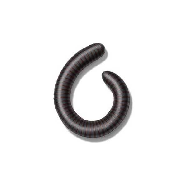 Millipedes information and control methods by Isotech Pest Management in the Los Angeles CA Metro Area.