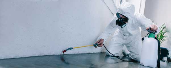 Pest Control Videos of Isotech Pest Management - Commercial Extermination Services in Los Angeles CA