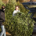 Shake out your Christmas tree before bringing it inside your Los Angeles Metro Area CA property - Isotech Pest Management
