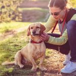 Keep ticks away from pets in the Los Angeles Metro Area this summer - Isotech Pest Management